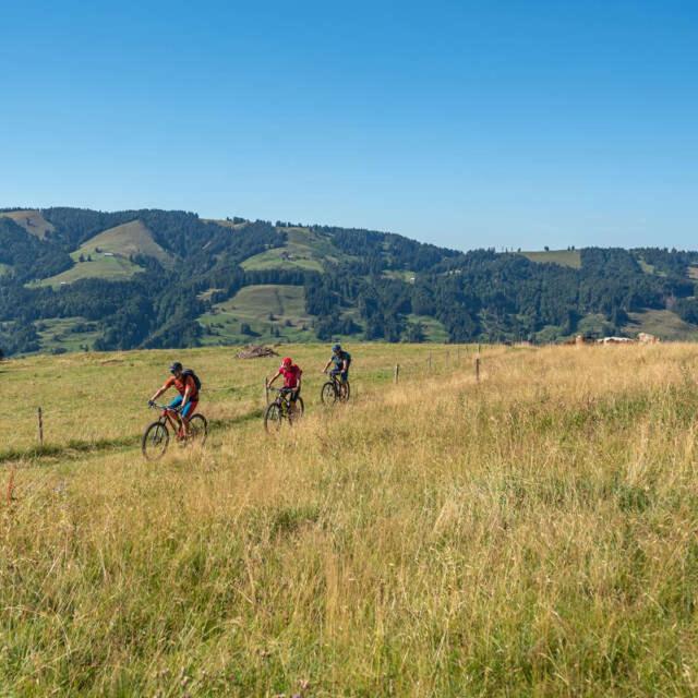 Alpinstar * Oberstaufen